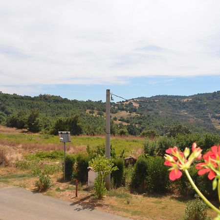 Agriturismo Masseria Castiglione Gallicchio ภายนอก รูปภาพ