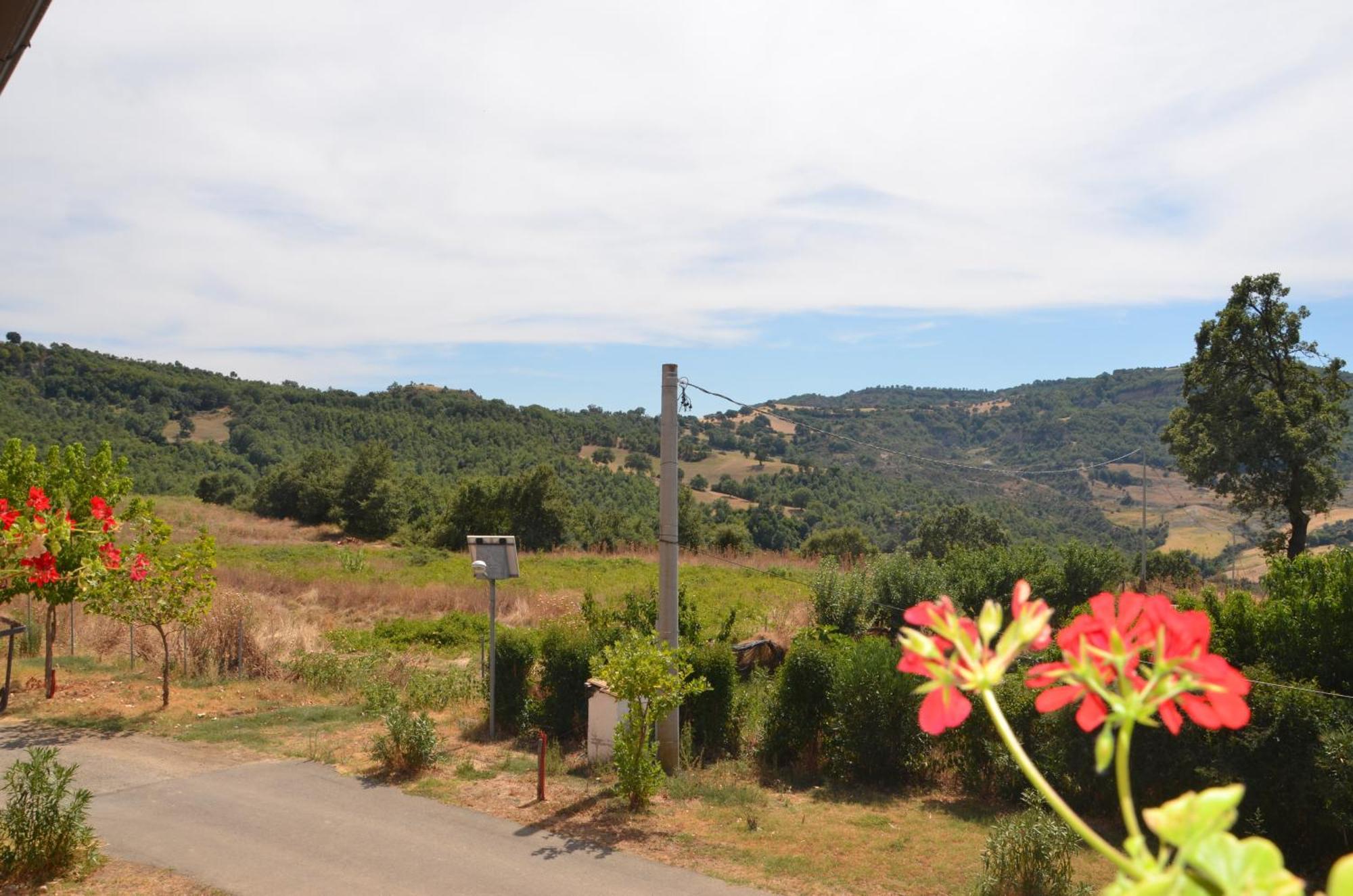 Agriturismo Masseria Castiglione Gallicchio ภายนอก รูปภาพ
